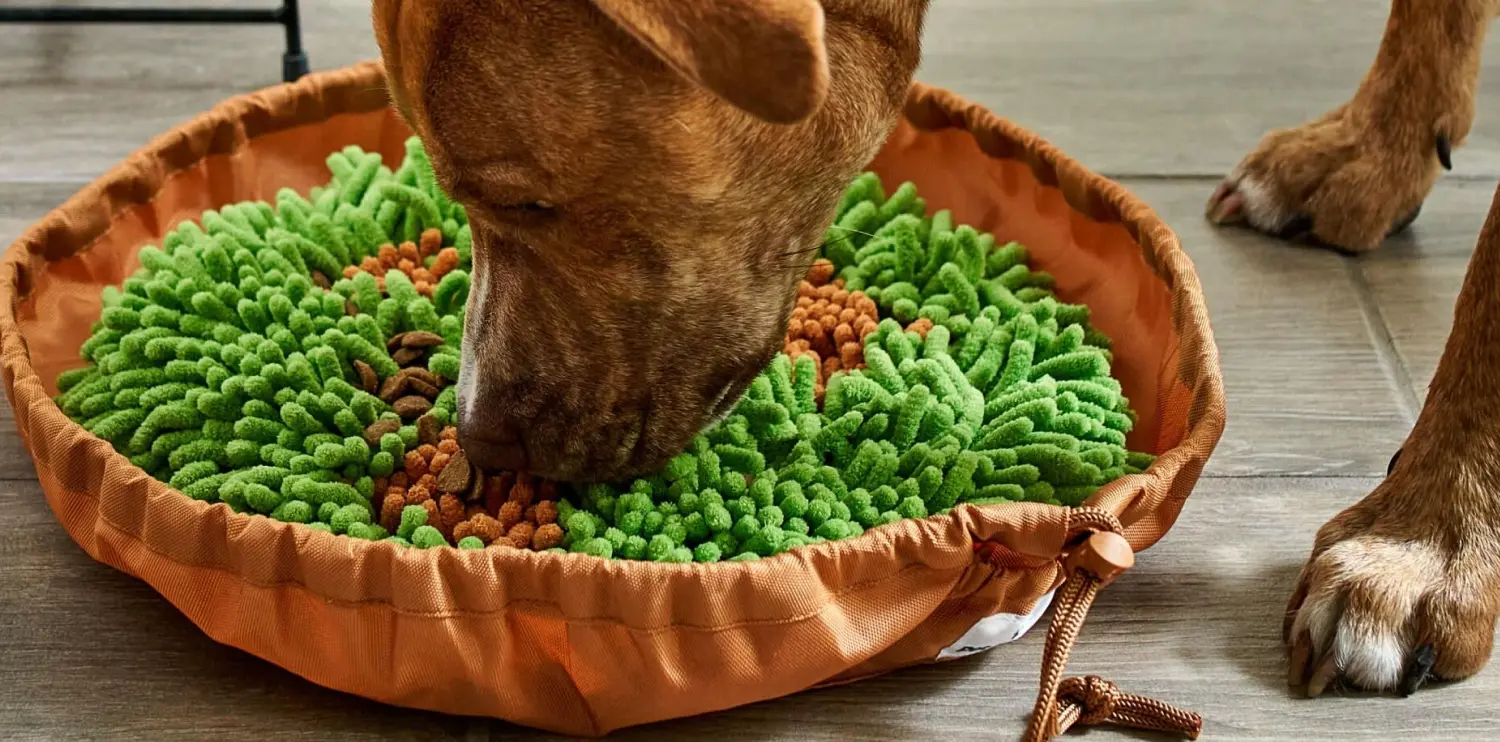 How Pet Parents® Drives Higher Cart Values with Boost